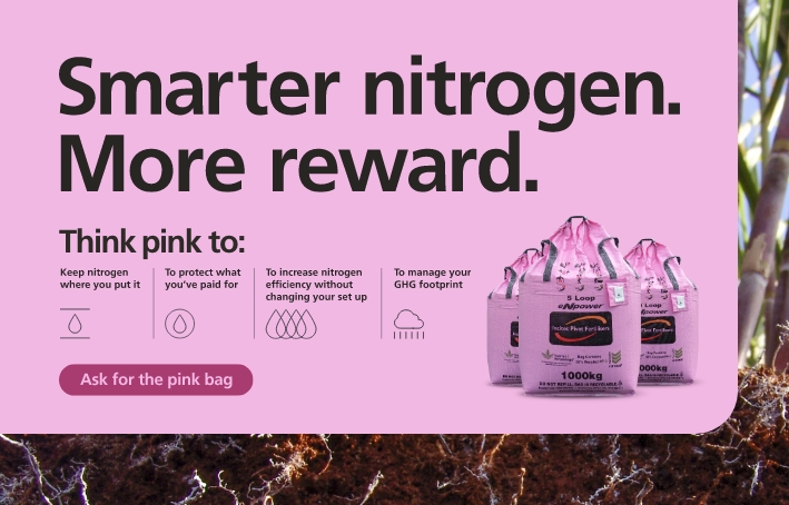 eNpower_smarter_N_banner